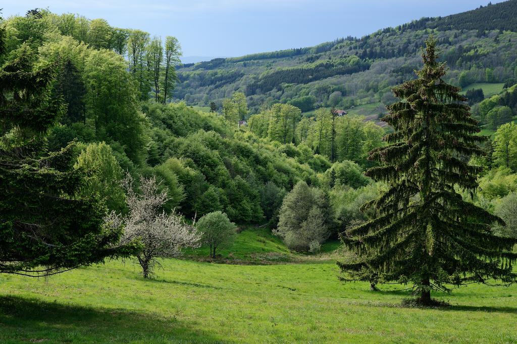 Vvf Les Fontaines Des Vosges Hotel Saales Buitenkant foto